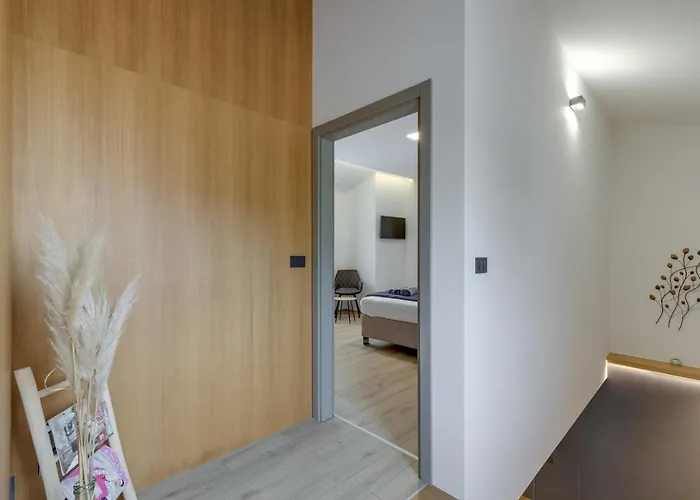 Sunnyside * Dracevac